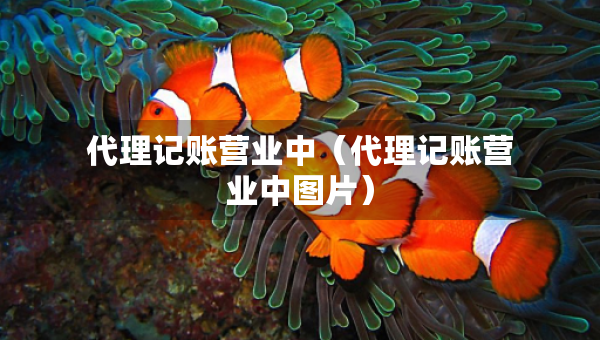 代理记账营业中（代理记账营业中图片）