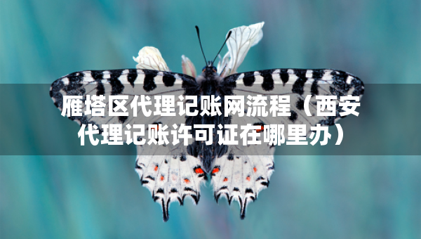 雁塔区代理记账网流程（西安代理记账许可证在哪里办）