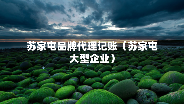 苏家屯品牌代理记账（苏家屯大型企业）