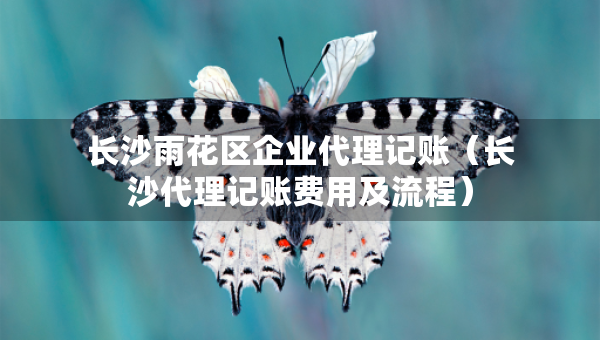 长沙雨花区企业代理记账（长沙代理记账费用及流程）