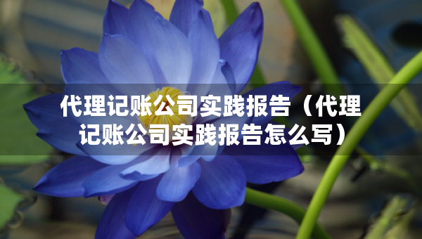 代理记账公司实践报告（代理记账公司实践报告怎么写）