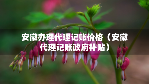 安徽办理代理记账价格（安徽代理记账政府补贴）