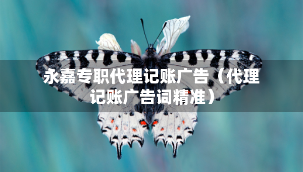 永嘉专职代理记账广告（代理记账广告词精准）
