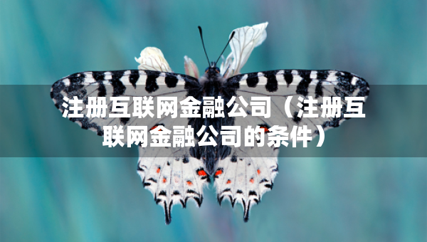 注册互联网金融公司（注册互联网金融公司的条件）