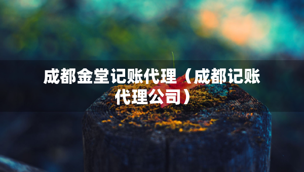 成都金堂记账代理（成都记账代理公司）