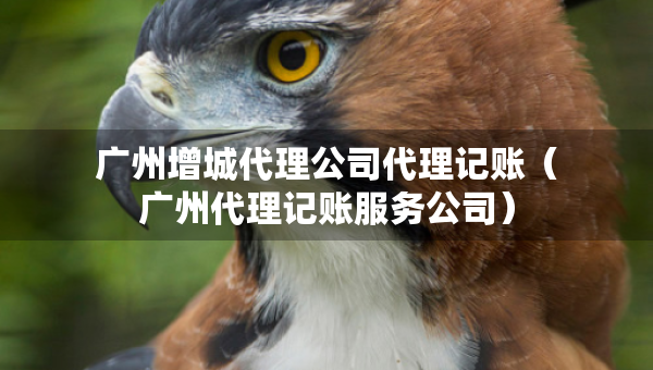 广州增城代理公司代理记账（广州代理记账服务公司）