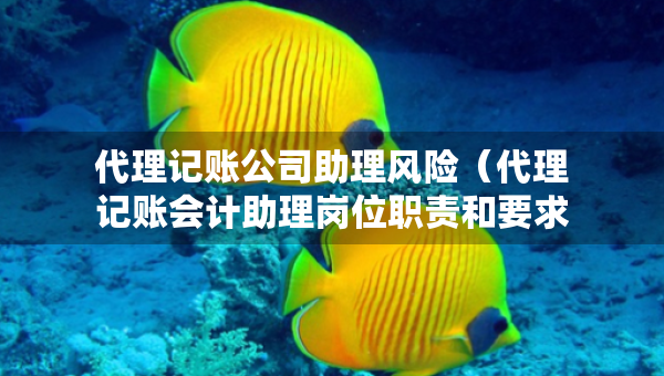 代理记账公司助理风险（代理记账会计助理岗位职责和要求）