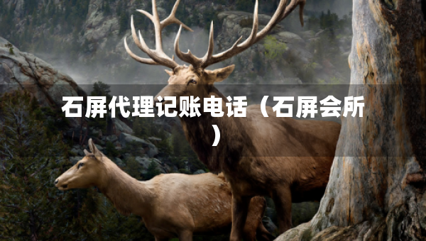 石屏代理记账电话（石屏会所）