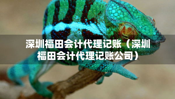 深圳福田会计代理记账（深圳福田会计代理记账公司）