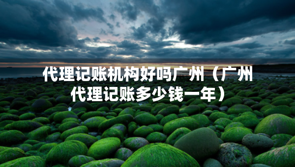 代理记账机构好吗广州（广州代理记账多少钱一年）