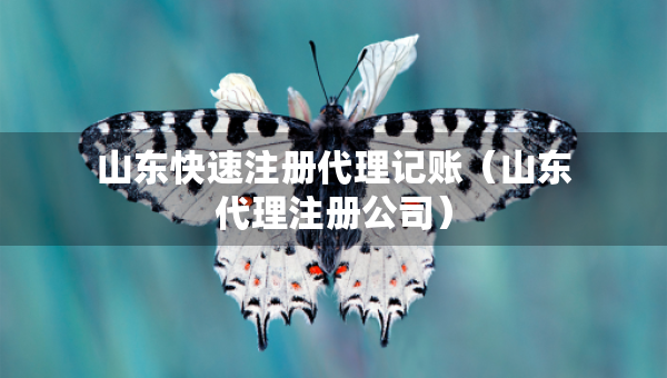山东快速注册代理记账（山东代理注册公司）