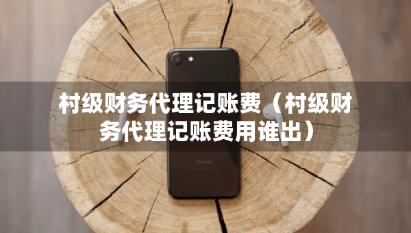村级财务代理记账费（村级财务代理记账费用谁出）