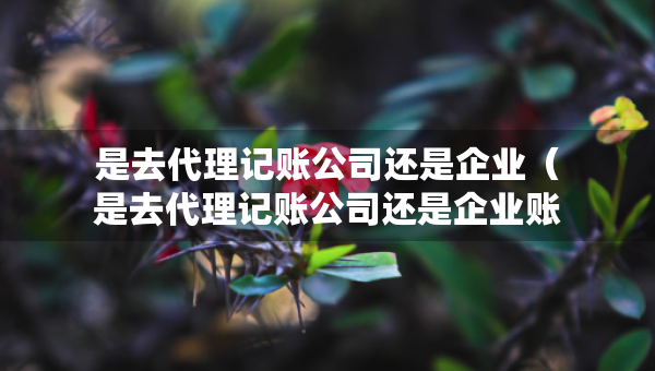 是去代理记账公司还是企业（是去代理记账公司还是企业账户）