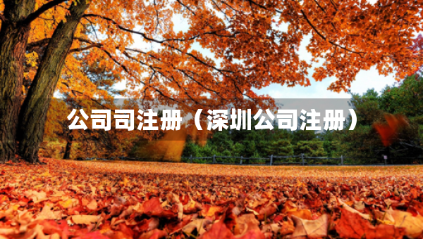 公司司注册（深圳公司注册）