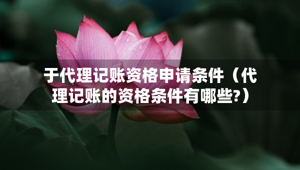 于代理记账资格申请条件（代理记账的资格条件有哪些?）