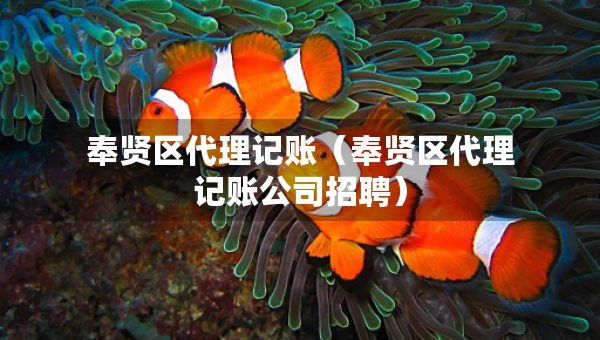 奉贤区代理记账（奉贤区代理记账公司招聘）