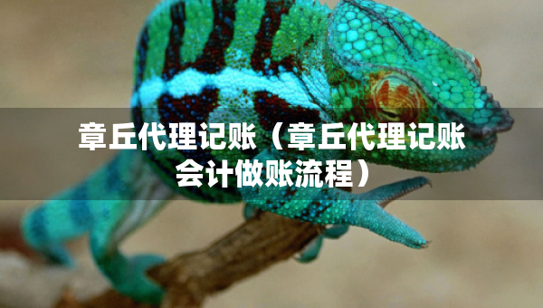 章丘代理记账（章丘代理记账会计做账流程）