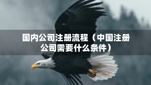 国内公司注册流程（中国注册公司需要什么条件）