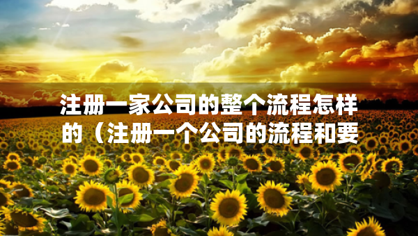注册一家公司的整个流程怎样的（注册一个公司的流程和要多少钱）