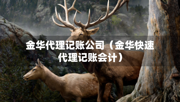 金华代理记账公司（金华快速代理记账会计）