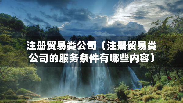 注册贸易类公司（注册贸易类公司的服务条件有哪些内容）