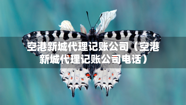空港新城代理记账公司（空港新城代理记账公司电话）