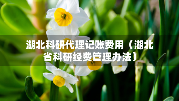 湖北科研代理记账费用（湖北省科研经费管理办法）
