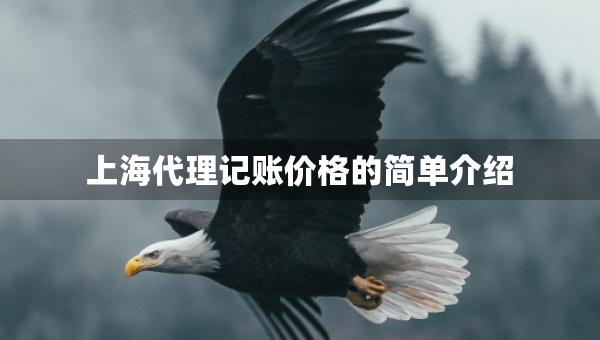 上海代理记账价格的简单介绍