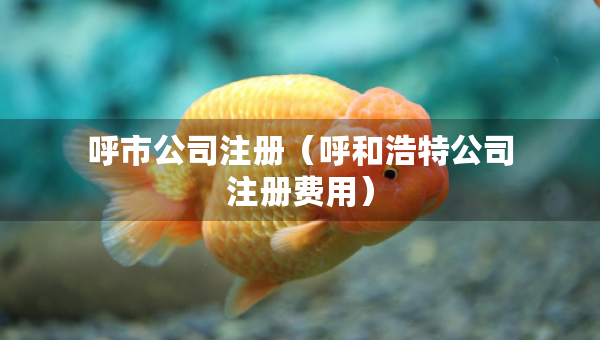 呼市公司注册（呼和浩特公司注册费用）