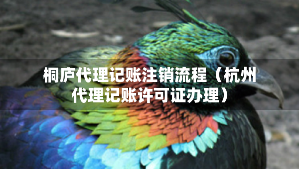 桐庐代理记账注销流程（杭州代理记账许可证办理）