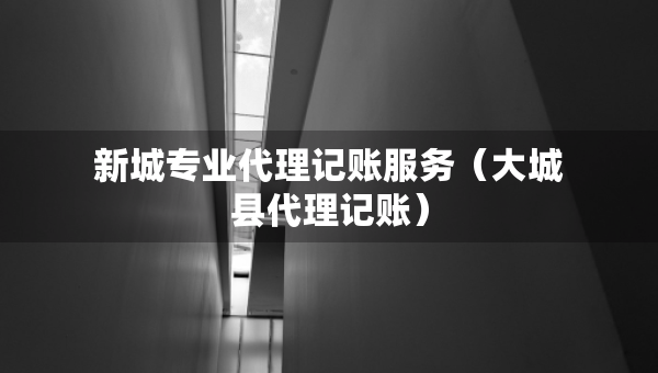 新城专业代理记账服务（大城县代理记账）
