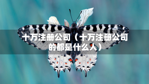 十万注册公司（十万注册公司的都是什么人）