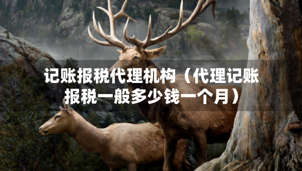 记账报税代理机构（代理记账报税一般多少钱一个月）
