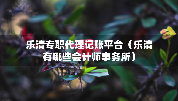 乐清专职代理记账平台（乐清有哪些会计师事务所）