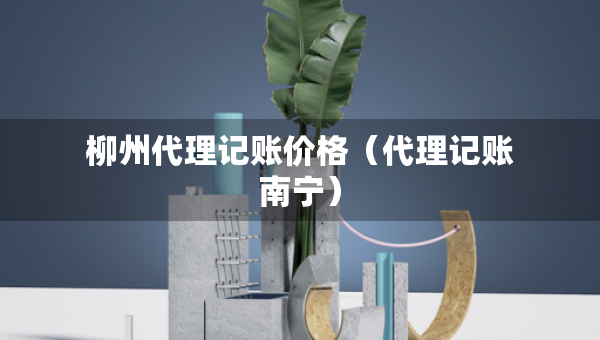 柳州代理记账价格（代理记账南宁）