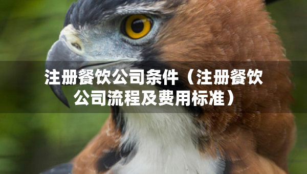 注册餐饮公司条件（注册餐饮公司流程及费用标准）