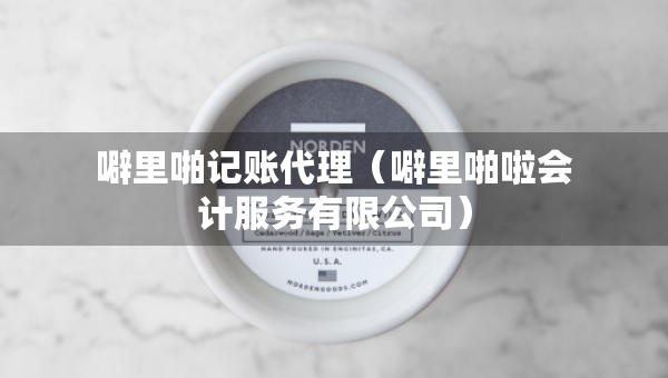 噼里啪记账代理（噼里啪啦会计服务有限公司）