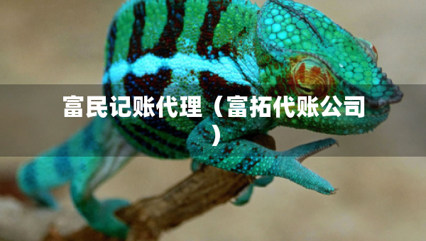富民记账代理（富拓代账公司）