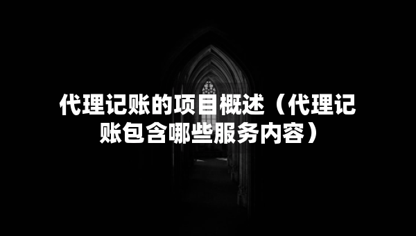 代理记账的项目概述（代理记账包含哪些服务内容）
