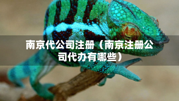 南京代公司注册（南京注册公司代办有哪些）