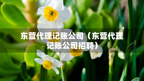 东营代理记账公司（东营代理记账公司招聘）