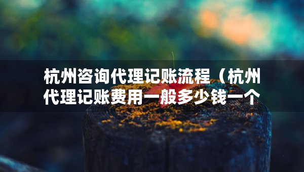杭州咨询代理记账流程（杭州代理记账费用一般多少钱一个月）