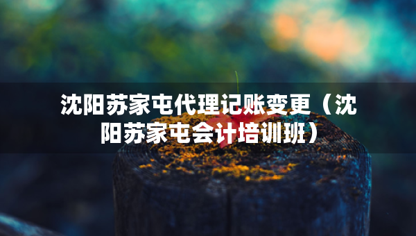 沈阳苏家屯代理记账变更（沈阳苏家屯会计培训班）