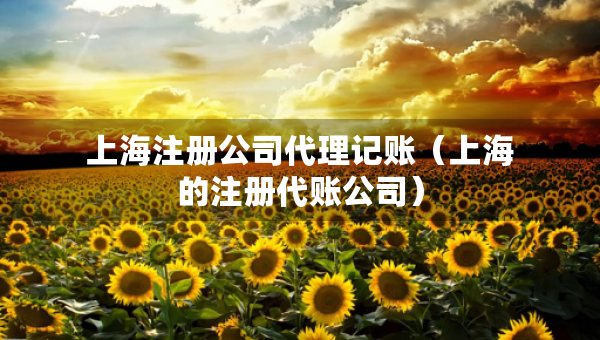 上海注册公司代理记账（上海的注册代账公司）