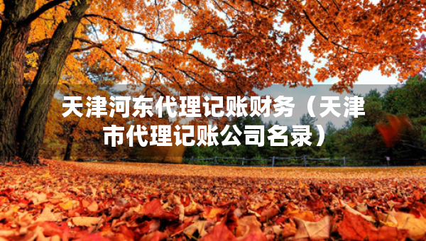 天津河东代理记账财务(天津市代理记账公司名录) 天津河东代理记账财务(天津市代理记账公司名录)