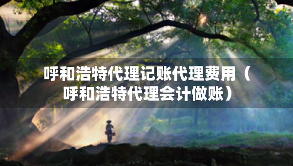 呼和浩特代理记账代理费用（呼和浩特代理会计做账）