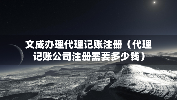 文成办理代理记账注册（代理记账公司注册需要多少钱）