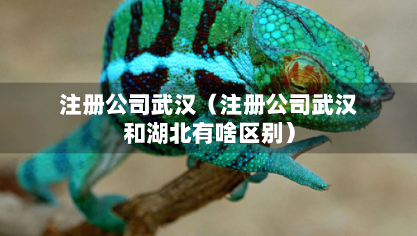 注册公司武汉（注册公司武汉和湖北有啥区别）