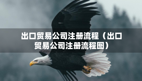 出口贸易公司注册流程（出口贸易公司注册流程图）