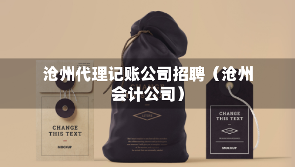 沧州代理记账公司招聘（沧州会计公司）